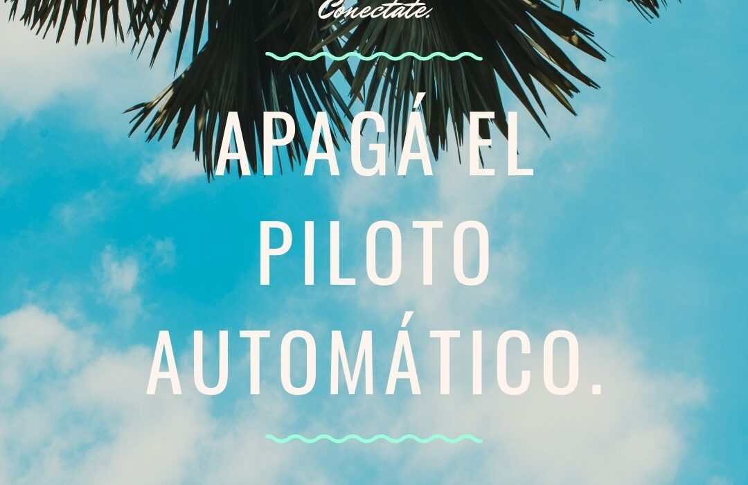 Imagen destacada