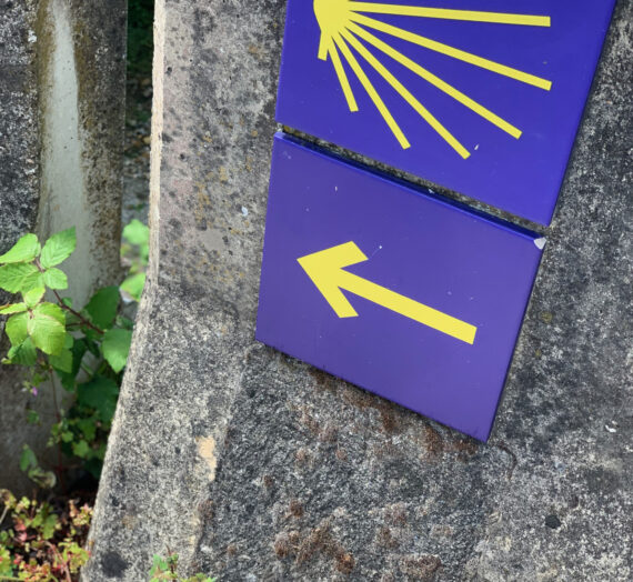 Mis diez aprendizajes en el Camino de Santiago.